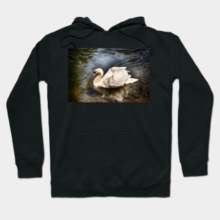 Elegance On Water Hoodie